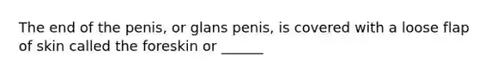 The end of the penis, or glans penis, is covered with a loose flap of skin called the foreskin or ______