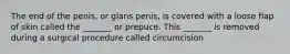 The end of the penis, or glans penis, is covered with a loose flap of skin called the _______ or prepuce. This _______ is removed during a surgical procedure called circumcision