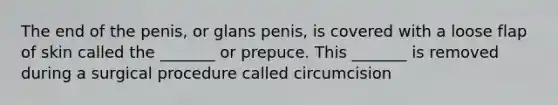 The end of the penis, or glans penis, is covered with a loose flap of skin called the _______ or prepuce. This _______ is removed during a surgical procedure called circumcision