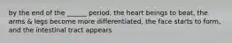 by the end of the ______ period, the heart beings to beat, the arms & legs become more differentiated, the face starts to form, and the intestinal tract appears