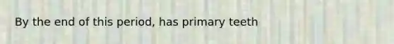 By the end of this period, has primary teeth