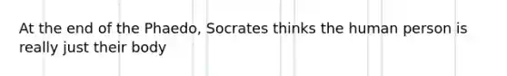 At the end of the Phaedo, Socrates thinks the human person is really just their body