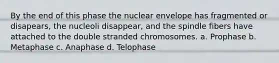 By the end of this phase the nuclear envelope has fragmented or disapears, the nucleoli disappear, and the spindle fibers have attached to the double stranded chromosomes. a. Prophase b. Metaphase c. Anaphase d. Telophase