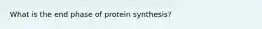 What is the end phase of protein synthesis?