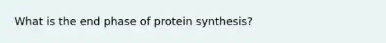 What is the end phase of protein synthesis?