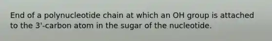 End of a polynucleotide chain at which an OH group is attached to the 3'-carbon atom in the sugar of the nucleotide.