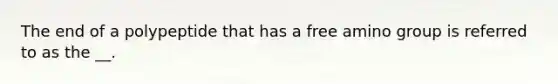 The end of a polypeptide that has a free amino group is referred to as the __.