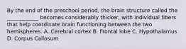 By the end of the preschool period, the brain structure called the ____________ becomes considerably thicker, with individual fibers that help coordinate brain functioning between the two hemispheres. A. Cerebral cortex B. Frontal lobe C. Hypothalamus D. Corpus Callosum