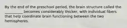 By the end of the preschool period, the brain structure called the __________ becomes considerably thicker, with individual fibers that help coordinate brain functioning between the two hemispheres.