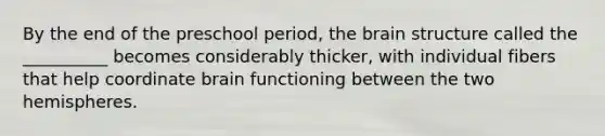 By the end of the preschool period, <a href='https://www.questionai.com/knowledge/kLMtJeqKp6-the-brain' class='anchor-knowledge'>the brain</a> structure called the __________ becomes considerably thicker, with individual fibers that help coordinate brain functioning between the two hemispheres.