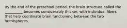 By the end of the preschool period, the brain structure called the __________ becomes considerably thicker, with individual fibers that help coordinate brain functioning between the two hemispheres