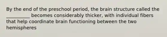 By the end of the preschool period, the brain structure called the __________ becomes considerably thicker, with individual fibers that help coordinate brain functioning between the two hemispheres