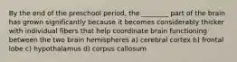 By the end of the preschool period, the ________ part of the brain has grown significantly because it becomes considerably thicker with individual fibers that help coordinate brain functioning between the two brain hemispheres a) cerebral cortex b) frontal lobe c) hypothalamus d) corpus callosum