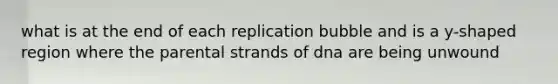 what is at the end of each replication bubble and is a y-shaped region where the parental strands of dna are being unwound