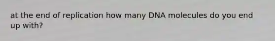 at the end of replication how many DNA molecules do you end up with?