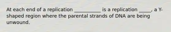 At each end of a replication ___________ is a replication _____, a Y-shaped region where the parental strands of DNA are being unwound.