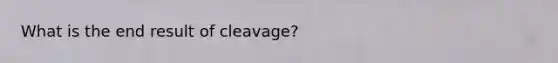 What is the end result of cleavage?