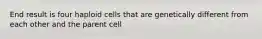 End result is four haploid cells that are genetically different from each other and the parent cell