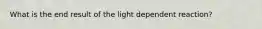 What is the end result of the light dependent reaction?