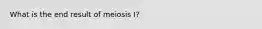 What is the end result of meiosis I?