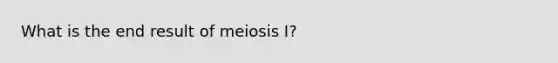 What is the end result of meiosis I?