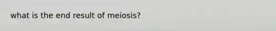 what is the end result of meiosis?