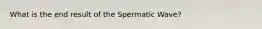 What is the end result of the Spermatic Wave?