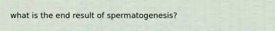 what is the end result of spermatogenesis?