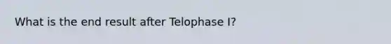 What is the end result after Telophase I?