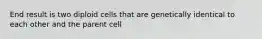 End result is two diploid cells that are genetically identical to each other and the parent cell