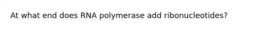 At what end does RNA polymerase add ribonucleotides?