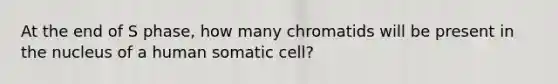 At the end of S phase, how many chromatids will be present in the nucleus of a human somatic cell?