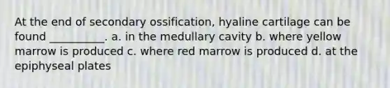 At the end of secondary ossification, hyaline cartilage can be found __________. a. in the medullary cavity b. where yellow marrow is produced c. where red marrow is produced d. at the epiphyseal plates