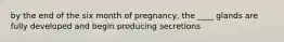 by the end of the six month of pregnancy, the ____ glands are fully developed and begin producing secretions