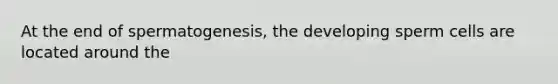 At the end of spermatogenesis, the developing sperm cells are located around the