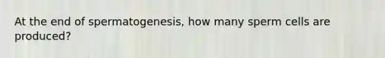 At the end of spermatogenesis, how many sperm cells are produced?