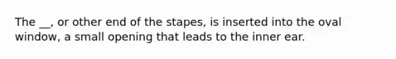 The __, or other end of the stapes, is inserted into the oval window, a small opening that leads to the inner ear.