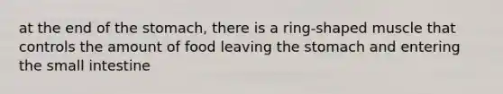 at the end of the stomach, there is a ring-shaped muscle that controls the amount of food leaving the stomach and entering the small intestine