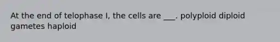 At the end of telophase I, the cells are ___. polyploid diploid gametes haploid