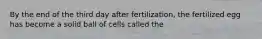 By the end of the third day after fertilization, the fertilized egg has become a solid ball of cells called the