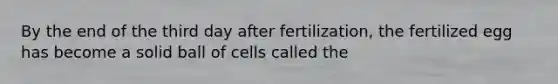 By the end of the third day after fertilization, the fertilized egg has become a solid ball of cells called the