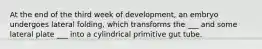 At the end of the third week of development, an embryo undergoes lateral folding, which transforms the ___ and some lateral plate ___ into a cylindrical primitive gut tube.