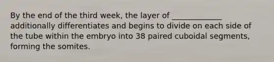 By the end of the third week, the layer of _____________ additionally differentiates and begins to divide on each side of the tube within the embryo into 38 paired cuboidal segments, forming the somites.