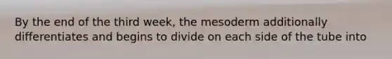 By the end of the third week, the mesoderm additionally differentiates and begins to divide on each side of the tube into