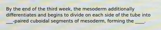 By the end of the third week, the mesoderm additionally differentiates and begins to divide on each side of the tube into ___-paired cuboidal segments of mesoderm, forming the ____.