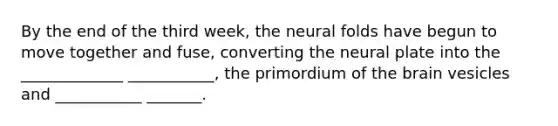 By the end of the third week, the neural folds have begun to move together and fuse, converting the neural plate into the _____________ ___________, the primordium of the brain vesicles and ___________ _______.