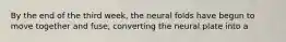 By the end of the third week, the neural folds have begun to move together and fuse, converting the neural plate into a