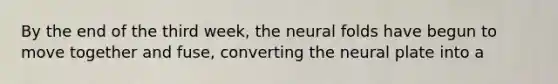 By the end of the third week, the neural folds have begun to move together and fuse, converting the neural plate into a