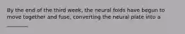 By the end of the third week, the neural folds have begun to move together and fuse, converting the neural plate into a ________