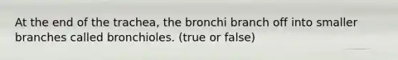 At the end of the trachea, the bronchi branch off into smaller branches called bronchioles. (true or false)